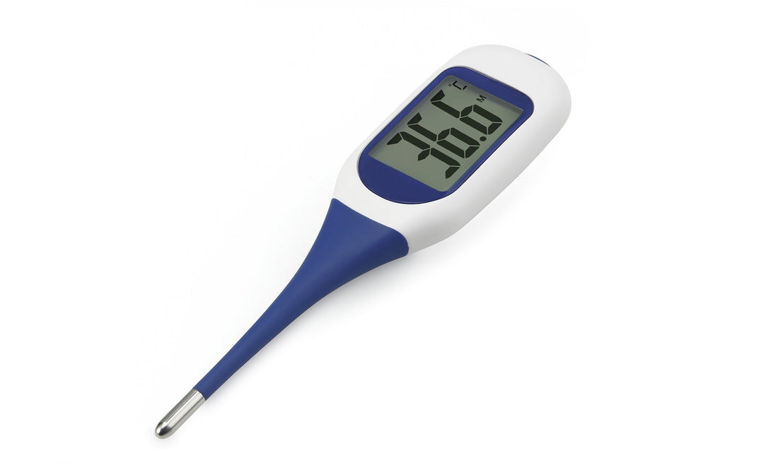 TALKING DIGITAL THERMOMETER